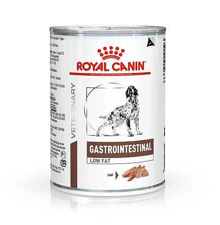 Royal Canin Gastrointestinal Low Fat (Роял Канін Гастроінтестинал Лоу Фет) вологий корм для собак для шлунково-кишкового тракту Запоріжжя