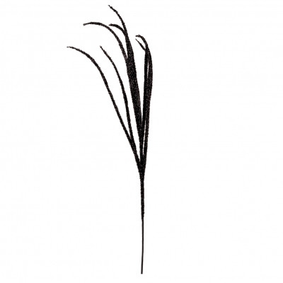 Декоративная ветвь YES! Fun Камыш 99 см, черный, глитер (974314) Винница - изображение 1