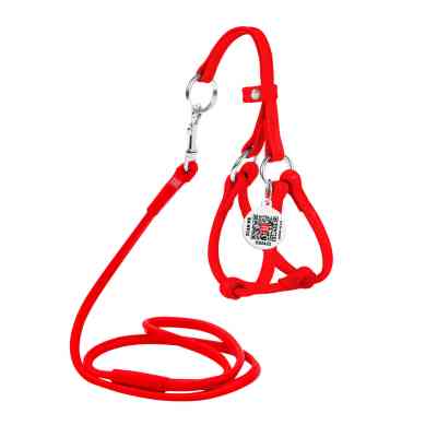 Шлея для собак WAUDOG Glamour з повідцем кругла Д 6 мм А 26-46 см В 30-50 см червона (34013) Вінниця