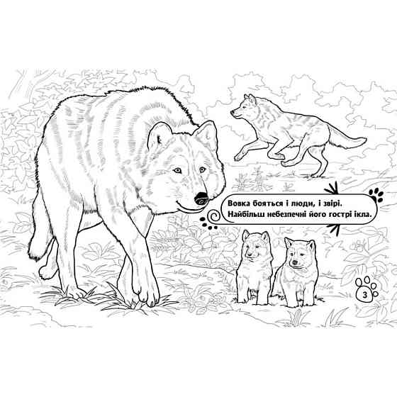 Дитяча розмальовка "Тварини у лісі" 583012, 16 сторінок Вінниця