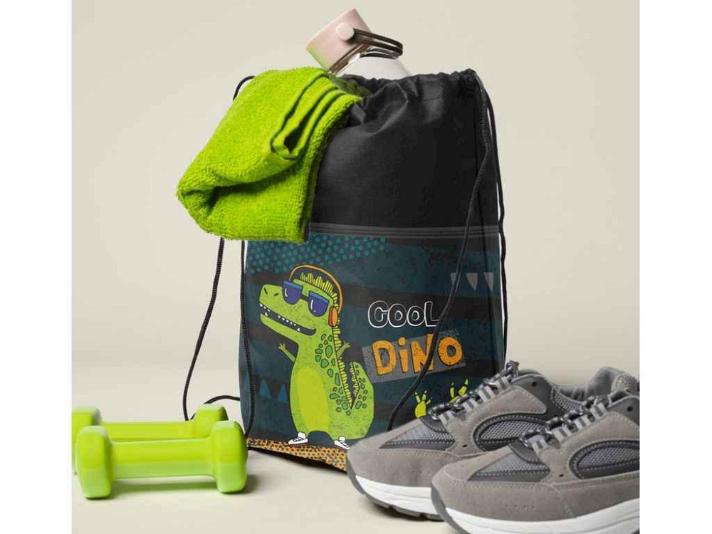 Сумка для обуви 46*33см с замком Cool Dino, Hipe ТМ LEADER Київ - фото 1