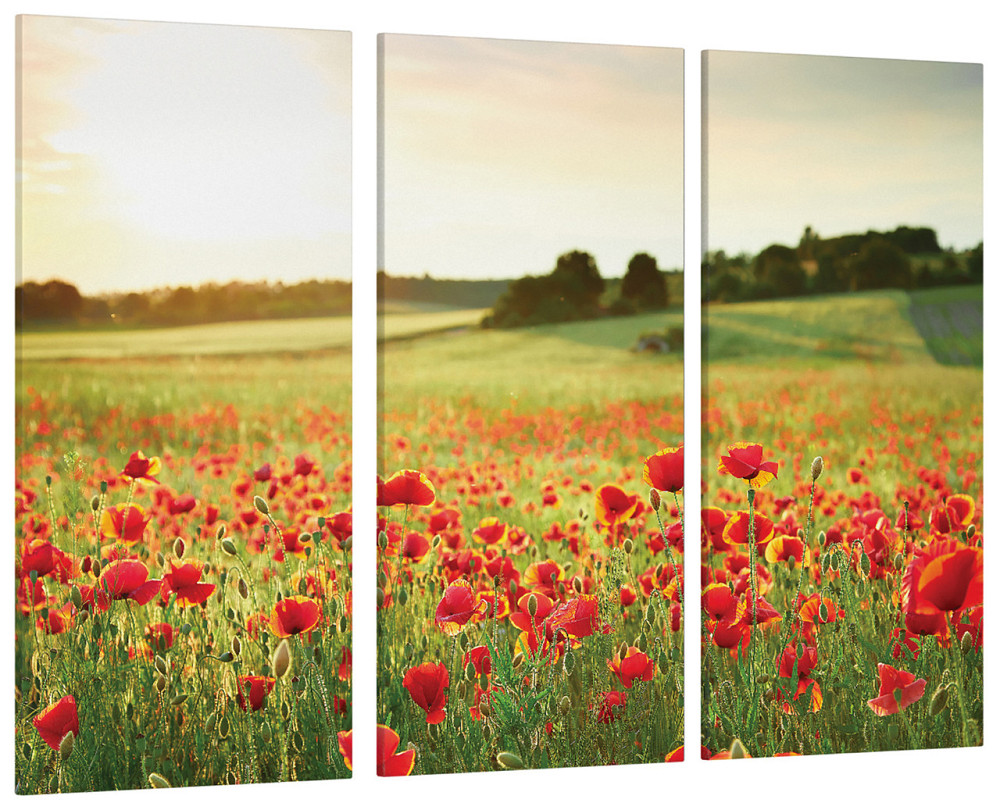Модульна картина Природа Поле Art-187_XXL Київ - фото 1