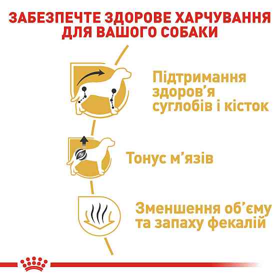 Корм для дорослих собак породи Такса ROYAL CANIN DACHSHUND ADULT 1.5 кг Київ