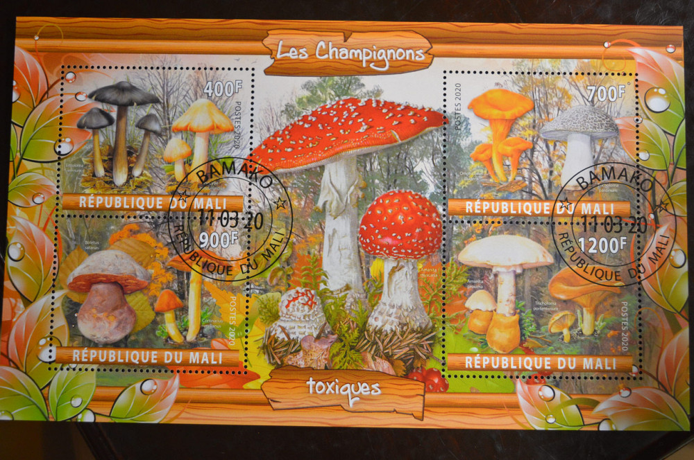 Мали. Марки. Фауна. Блок. 2019 год (В-2) Полтава - изображение 1