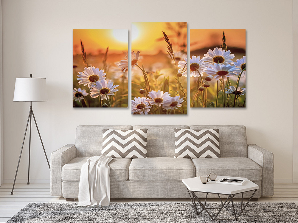 Модульная картина в гостиную / спальню Поле Ромашок  Art-561_3 Киев - изображение 2