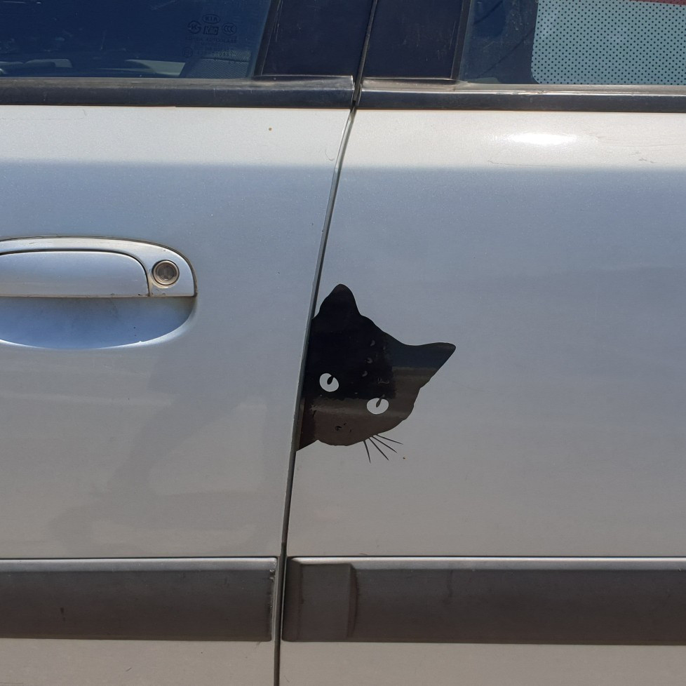 Наклейка Кіт на авто Біла світловідбивна Київ - фото 6