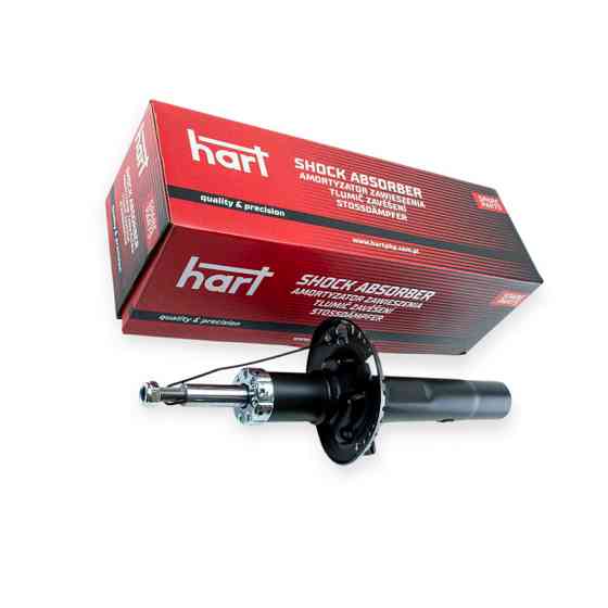 Амортизатор передний автомобиль Шкода Fabia I 01- Мукачево