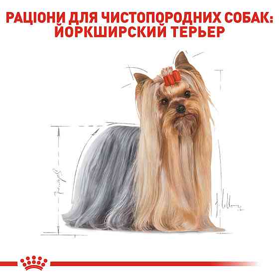 Корм для дорослих собак Йоркшир-тер'єр ROYAL CANIN YORKSHIRE ADULT 1.5 кг Київ