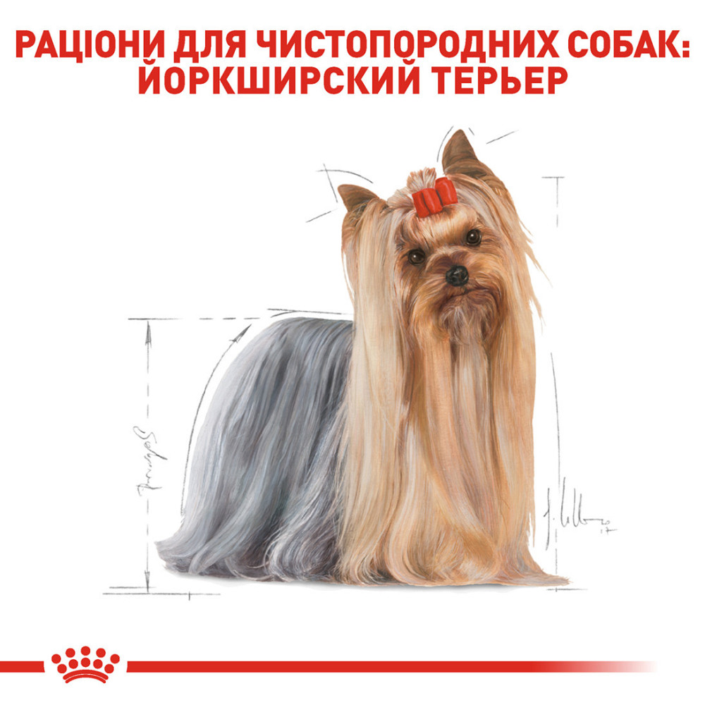 Корм для взрослых собак Йоркшир-терьер ROYAL CANIN YORKSHIRE ADULT 1.5 кг Киев - изображение 3