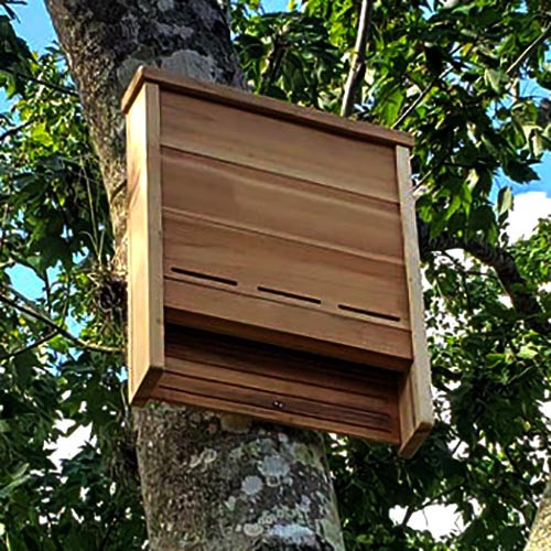 Будиночок для кажанів "Ардоп" мускат Миколаїв - фото 1