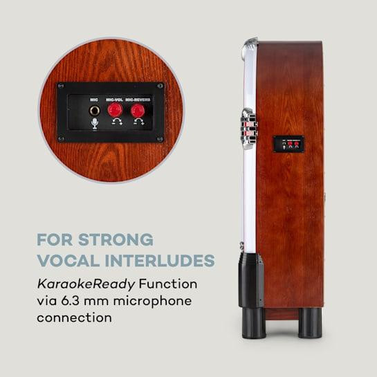 Музичний автомат Graceland Touch + мікрофон Ретростиль Німеччина Рівне - фото 10