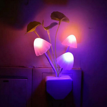 Ночник комнатный Грибы Киев - изображение 1