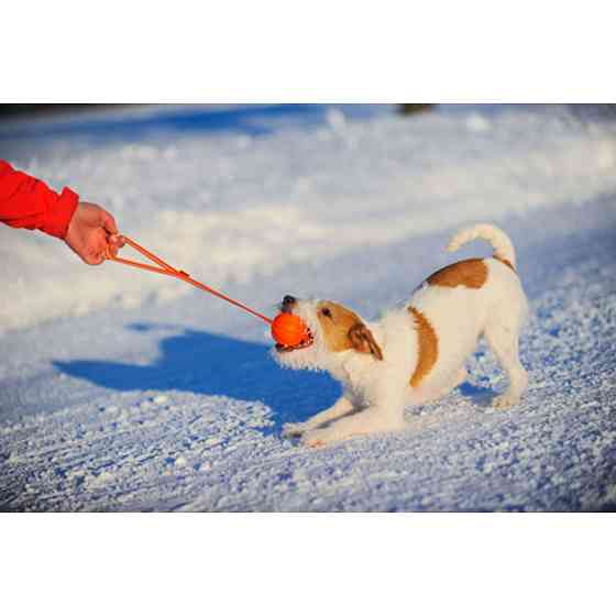 М'ячик ЛАЙКЕР5 Лайн (діаметр 5см) Коломыя