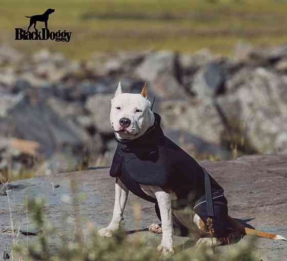 Куртка для собак BlackDoggy (БлекДоггі) VC19-JK008 XL, Чорний Запоріжжя
