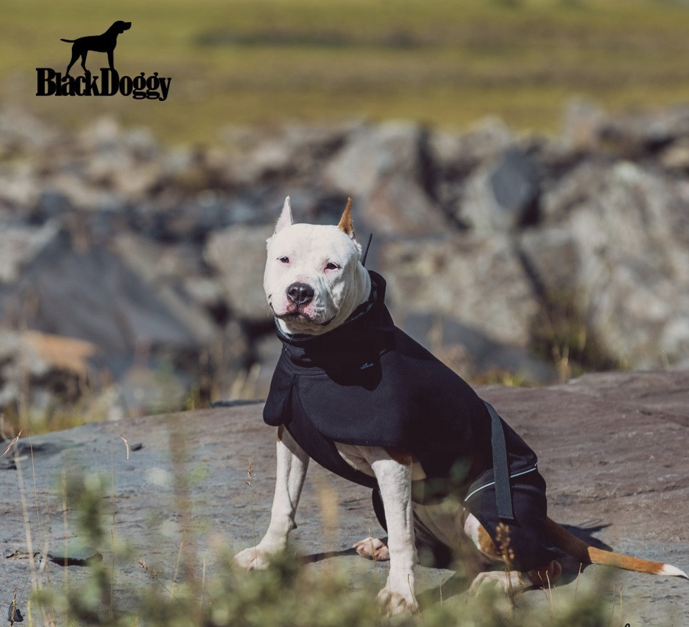 Куртка для собак BlackDoggy (БлекДоггі) VC19-JK008 XL, Чорний Запоріжжя - фото 3