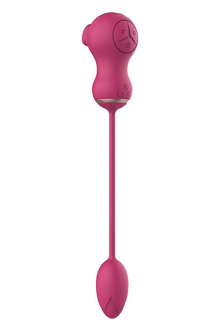 Гибкий двойной стимулятор и вибрационное яйцо Dream Toys Essentials, розовый Sex Aura Киев - изображение 4