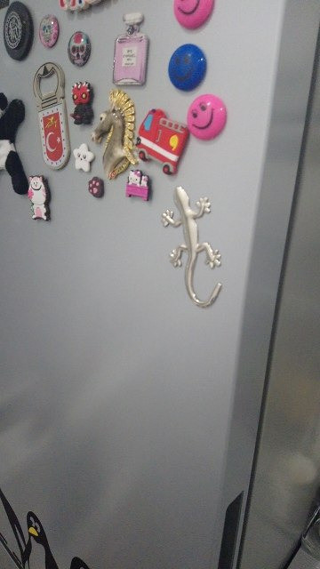 Наклейка Пластиковая Ящерица Серебро Киев - изображение 6