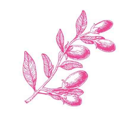 БИО-Шампунь Volume Lift для объема волос с Годжи SANTE 250 мл Киев