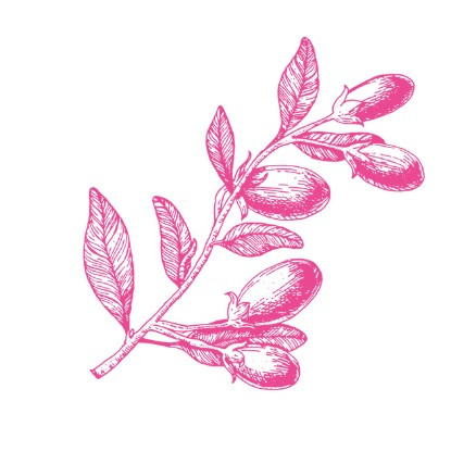 БИО-Шампунь Volume Lift для объема волос с Годжи SANTE 250 мл Киев - изображение 2