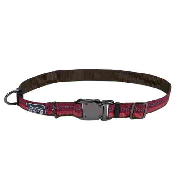 Coastal K9 Explorer Collar КОСТАЛ К9 ЭКСПЛОРЕР светоотражающий ошейник для собак, 2.5х30-46см Киев
