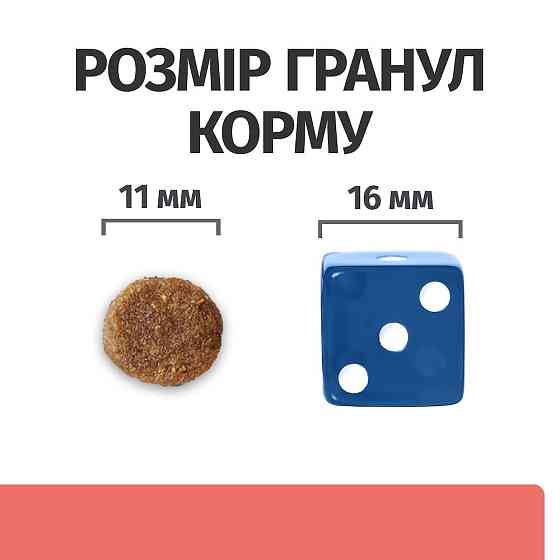 Hills Prescription Diet Canine ON-Care (Хілс ПД Канін Він Кеа) корм для собак із важкими захворюваннями 10 кг Запоріжжя