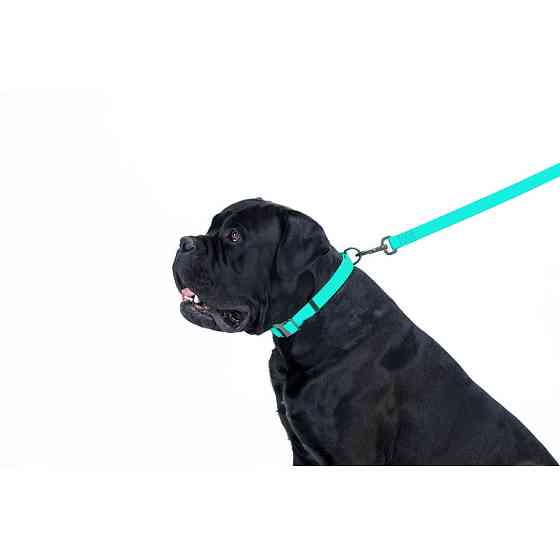 Повідець для собак водостійкий WAUDOG Waterproof, світонакоплювальний, S, Ш 15 мм, Дов 183 см Коломыя