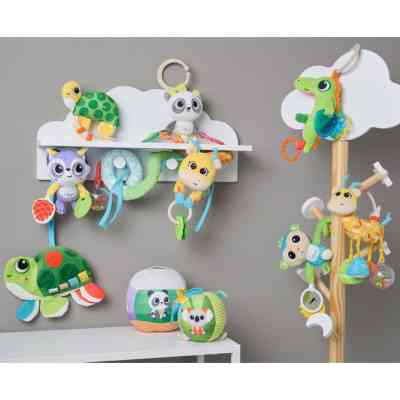 Погремушка Chicco Черепашка Молли (11631.00) Винница