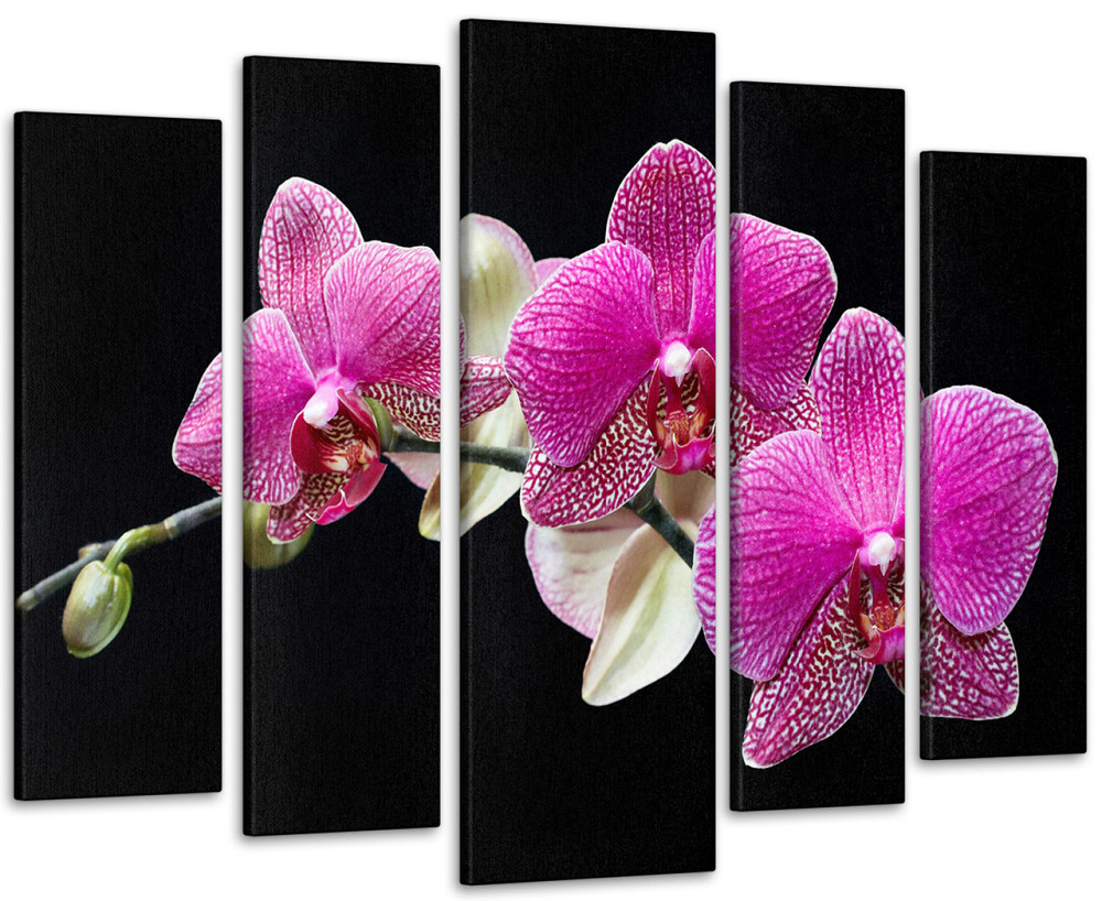 Модульна картина Орхідея Art-125_5 Київ - фото 1