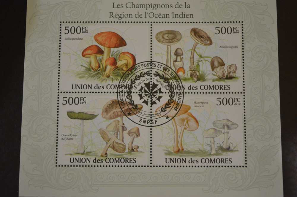 Комори. Марки. Фауна. Блок. 2009 рік (В-5) Полтава - фото 1