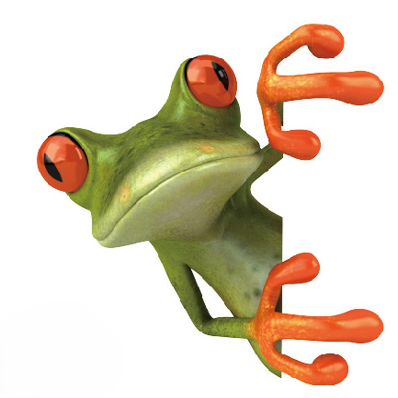 Наклейка Лягушка на стену 15 на 16 см разноцветный Киев - изображение 1