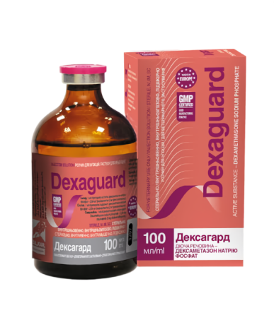 Дексагард (Dexaguard) 100 мл O.L.KAR протизапальний, протиалергічний, антистресовий препарат Вінниця