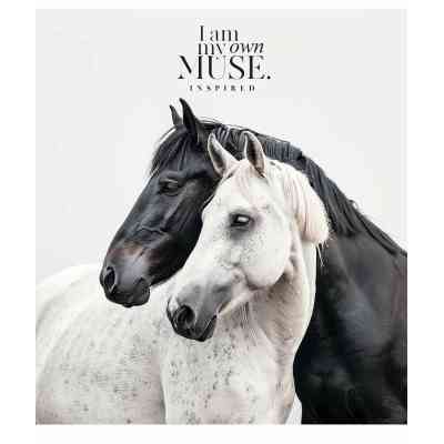 Зошит Школярик Main portrait 96 аркушів клітинка (096-3476K) Вінниця