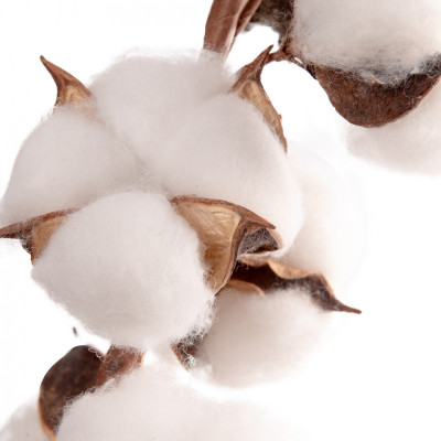 Декоративная ветвь YES! Fun Хлопок 46 см (974815) Винница - изображение 2