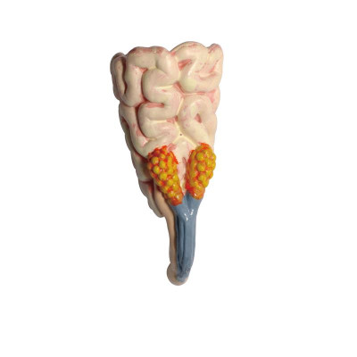 Пазл 4D Master Master Стегозавр (FM-622016) Вінниця - фото 4