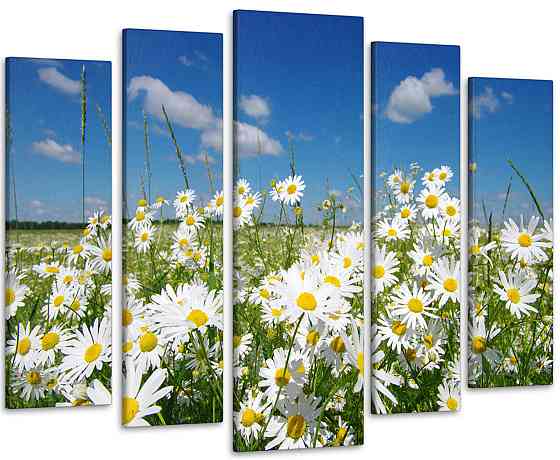 Модульна картина Ромашки Art-46_5 Київ