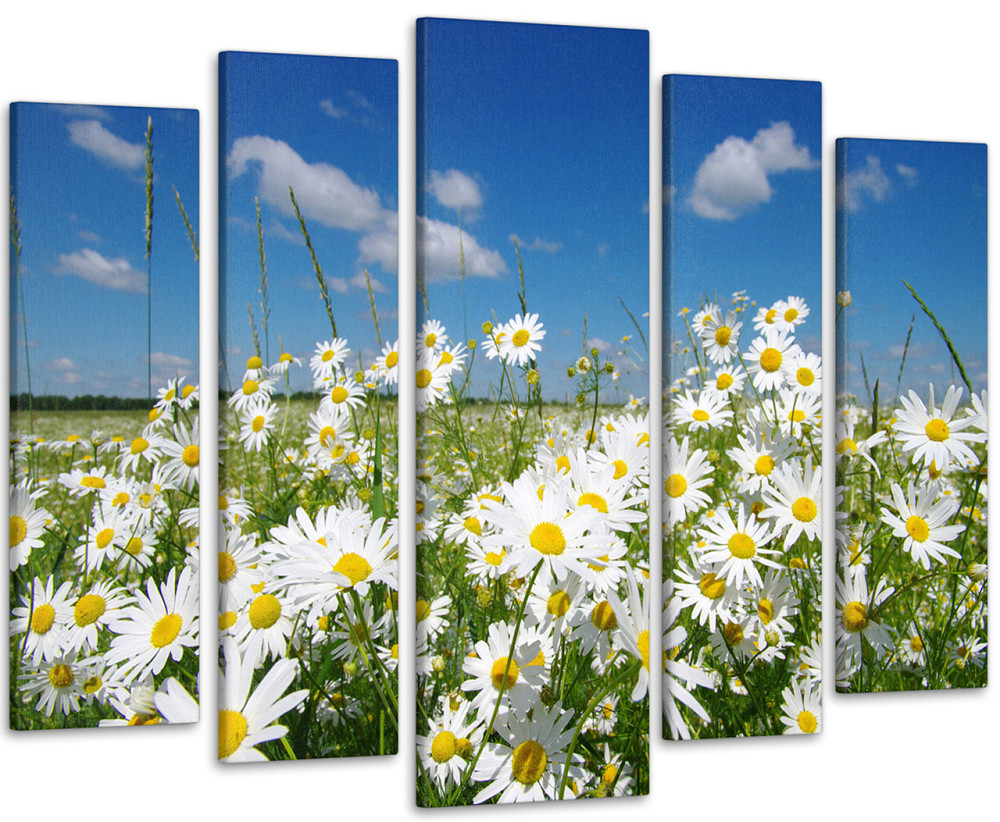 Модульна картина Ромашки Art-46_5 Київ - фото 1