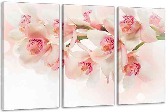 Модульная картина в гостиную / спальню Орхідея     ART-260_3A 70х130 см Киев