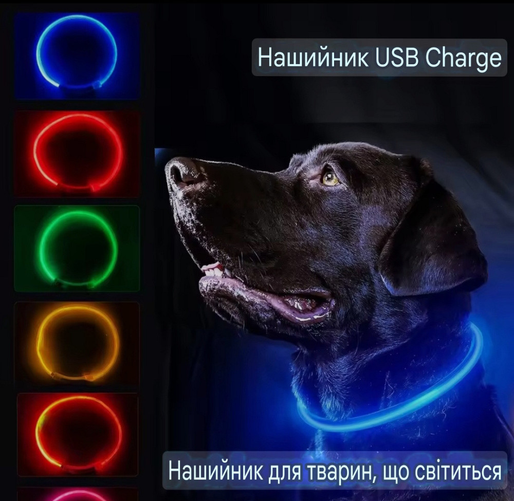 Светящийся ошейник для собак или котов с USB зарядкой имеет три режима свечения L 70 см зелёный Киев - изображение 3
