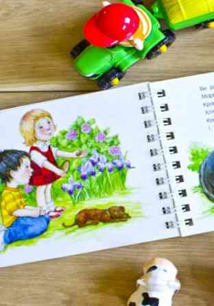 Картонки-развивайки 410023 Первые шаги. На ферме Винница