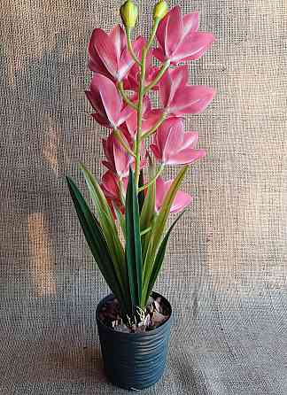 Штучна латексна орхідея цимбідіум у пластиковому кашпо малинова Дніпро