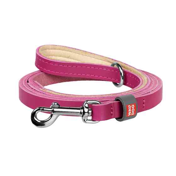 Повідець для котів та дрібних собак шкіряний WAUDOG Classic, XXS-XS, Ш 12 мм, Дов 122 см рожеви Коломия