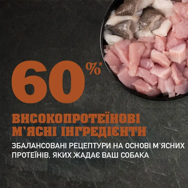 Acana Adult Large Breed Recipe (Акана Едалт Лардж Брід Ресіпе) сухий корм для дорослих собак великих порід 17 кг. Запоріжжя - фото 4