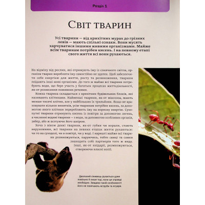 Книга Велика книга тварин - Клаудія Мартін Vivat (9786171704794) Винница - изображение 12