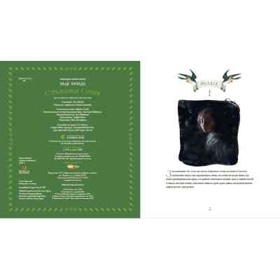 Книга Стражниця Сонця - Мая Люнде Видавництво Старого Лева (9789666799930) Вінниця