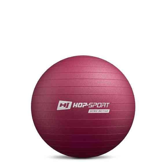 Фітбол Hop-Sport 45см HS-R045YB сливовий + насос Київ