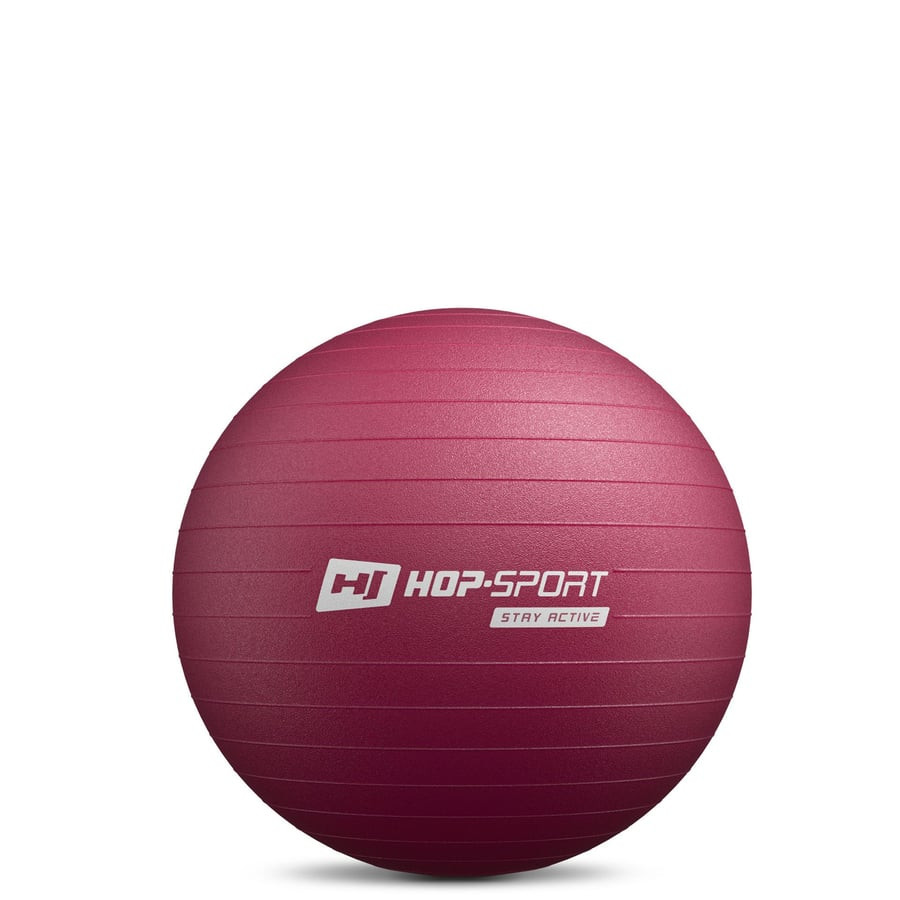 Фітбол Hop-Sport 45см HS-R045YB сливовий + насос Київ - фото 2