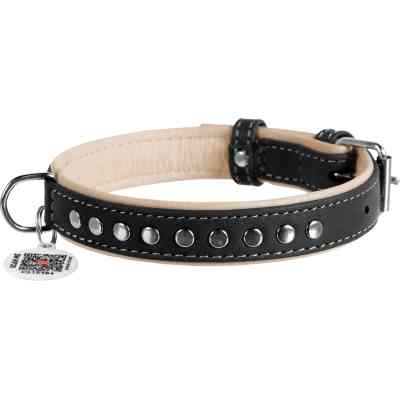 Ошейник для животных WAUDOG Soft с QR паспортом, металлические украшения S Ш 20 мм Д 30-39 см (7196) Винница