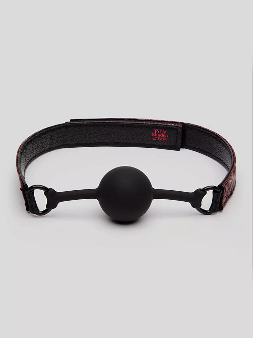 Кляп силиконовый Fifty Shades of Grey Sweet Anticipation Reversible Silicone Ball Gag Sex Aura Киев - изображение 2