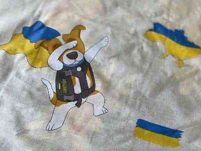 Ecotton Комплект постільної білизни Ecotton полуторний 150х215 см Пес Патрон бежевий Киев