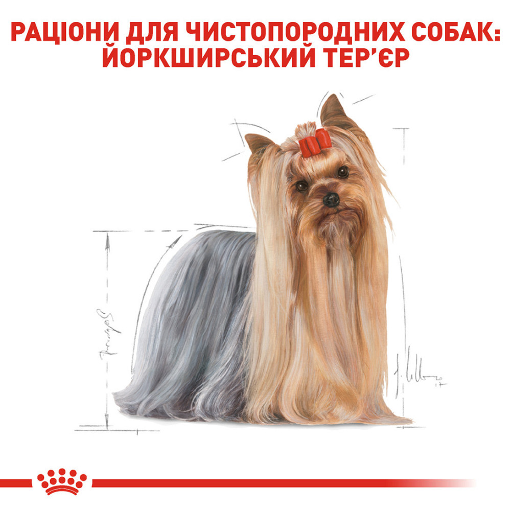 Вологий корм для дорослих собак Йоркшир-тер'єр ROYAL CANIN YORKSHIRE ADULT 0.085 кг Київ - фото 3